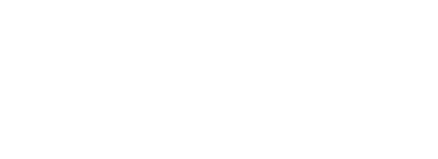 Multise BI